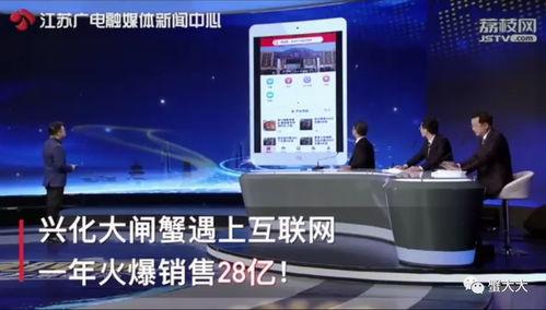 江苏电视台直播在线观看,实时掌握精彩瞬间，尽享视听盛宴