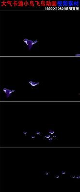 小鸟飞行视频,小鸟空中翱翔的精彩瞬间