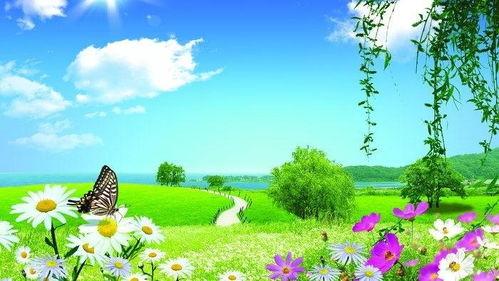 大全景图片,探寻城市与自然的和谐共生