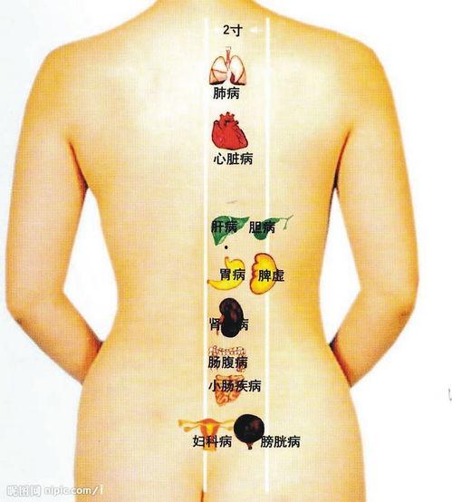 后背的图片,探寻后背图案背后的神秘故事