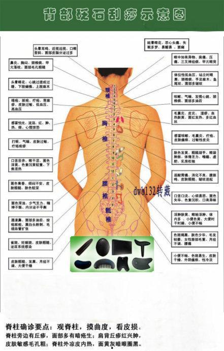 后背的图片,探寻后背图案背后的神秘故事