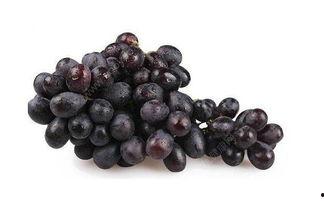 浆果儿吃瓜黑料,真相与争议背后的故事