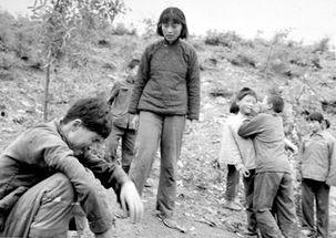 电影野山在线观看,探寻自然与人性的原始共鸣