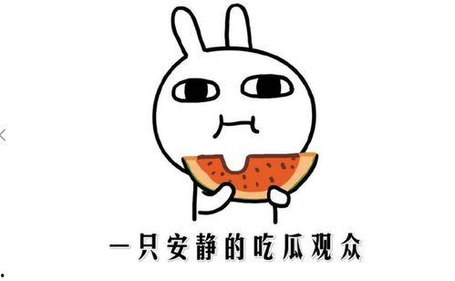 抖音网红黑料吃瓜,吃瓜群众热议背后的真相