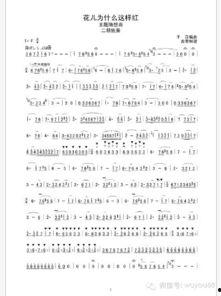 二胡独奏曲视频,二胡独奏曲视听盛宴