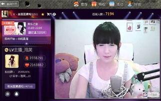 在线视频 主播,跟随主播探索虚拟世界的魅力与挑战