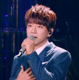 迪玛希韩国,跨越国界的音乐传奇，韩国舞台上的东方歌王