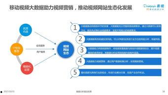 大数据视频分析,解码城市脉搏，洞察社会变迁