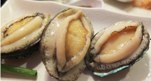 海鲜种类图片及名称,探寻各式海鲜的鲜美奥秘