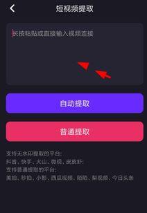视频怎样去水印,轻松实现无痕播放的技巧解析