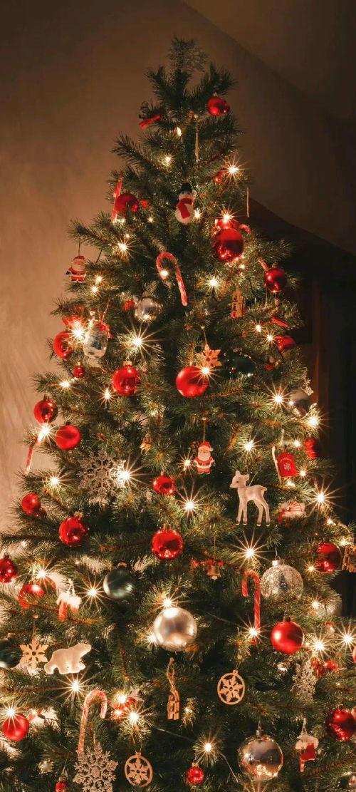 圣诞图片,图片中的欢乐与祝福