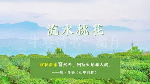 春天里26集在线观看,浪漫邂逅，青春绽放