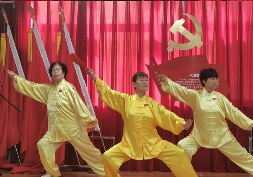 爱国舞蹈视频,共筑中国梦——爱国舞蹈视频赏析