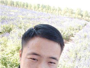 许冲的床戏,激情演绎，情感交织的浪漫篇章