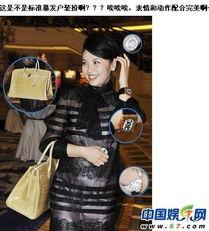 刘涛的包包图片大全,包包图片大全中的优雅风采