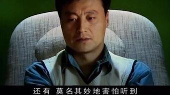 国际刑警国语,全球犯罪打击的纽带与力量