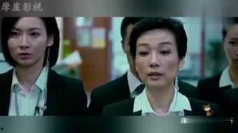 国际刑警国语,全球犯罪打击的纽带与力量