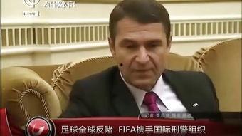 国际刑警国语,全球犯罪打击的纽带与力量