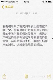 备忘录文字图片,从备忘录文字图片看项目进展与关键要点