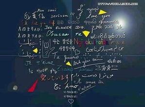 我愿意各国语言,我愿意的全球共鸣