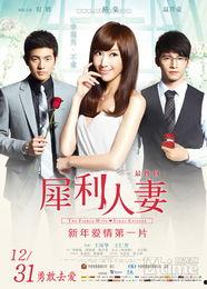 犀利人妻28国语,情感漩涡中的逆袭之战