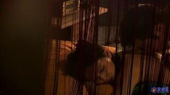 最后的床戏,揭秘床戏背后的情感纠葛