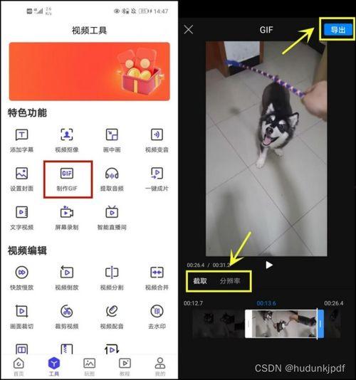 视频动图软件,捕捉瞬间，展现动态之美