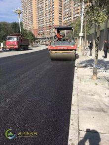 黑沥青路在线观看,在线揭秘惊悚悬疑之旅