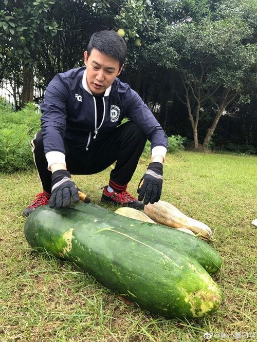 佳佳小拖把吃瓜爆料,揭秘娱乐圈惊人内幕