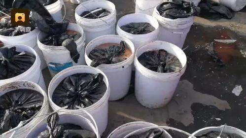佳佳小拖把吃瓜爆料,揭秘娱乐圈惊人内幕