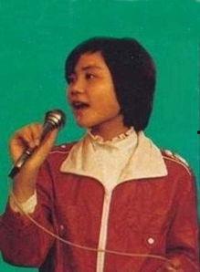 王菲图片大全图片欣赏,图片大全中的绝美演绎