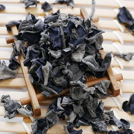 野生木耳图片大全,图片大全中的珍稀菌类风采