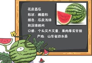 今日吃瓜历史记录图片大全,历史记录图片大全盘点